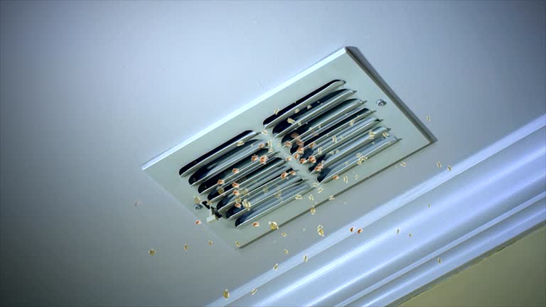 Best Dryer Vent Cleaning Services  in Pecan Plantation, TX